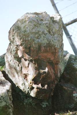 TEXAS RESTSTOP ROCK FACE.JPG